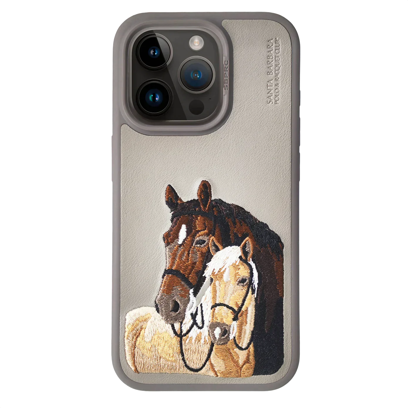 Santa Barbara Isidore Series For iPhone 15 Back Cover
