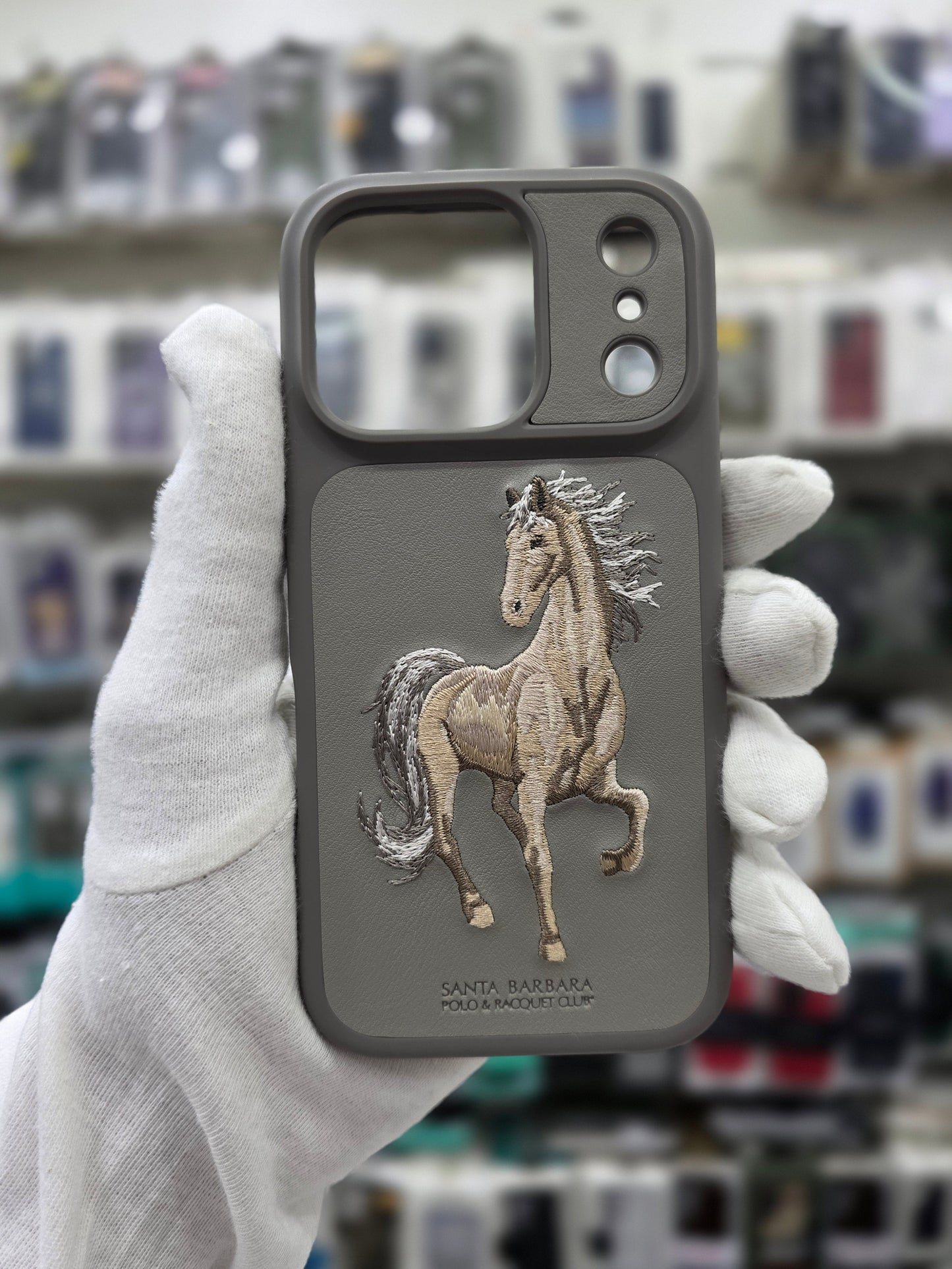 Santa Barbara Boris Series For iPhone 17 Pro