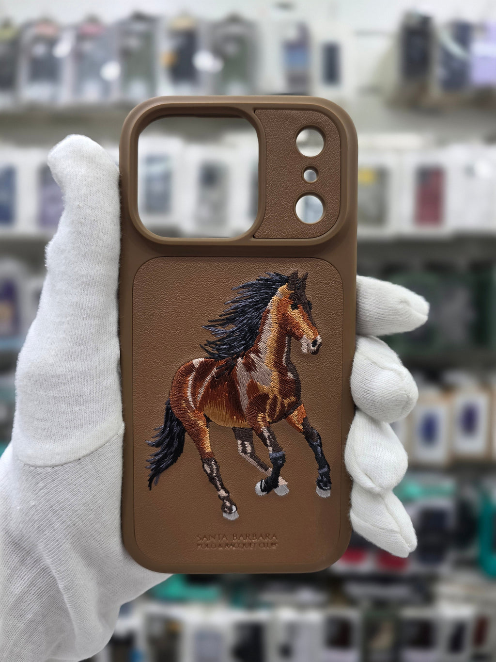 Santa Barbara Boris Series For iPhone 17 Pro Max Back Cover