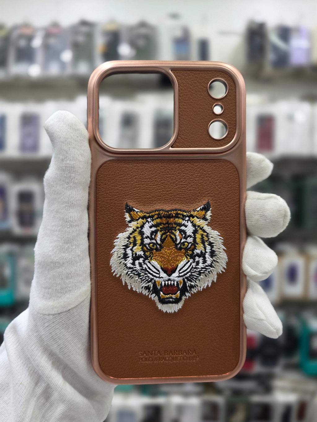Santa Barbara Savana Series For iPhone 17 Pro Back Cover