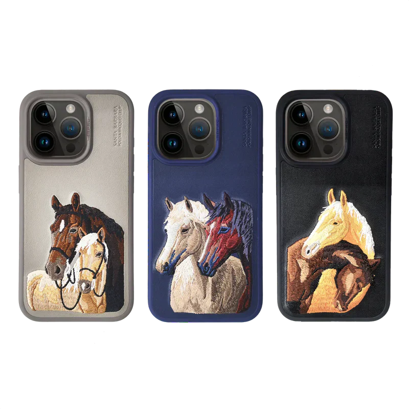 Santa Barbara Isidore Series For iPhone 15 Back Cover